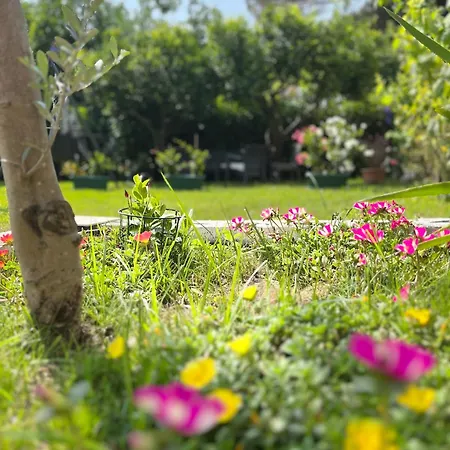 Da Francesco Bed and breakfast 4*